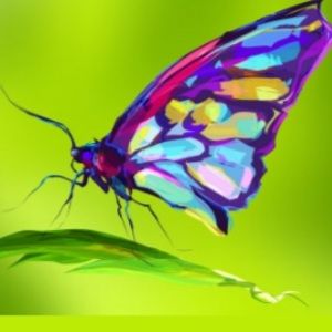 Meet your Posher, Claire